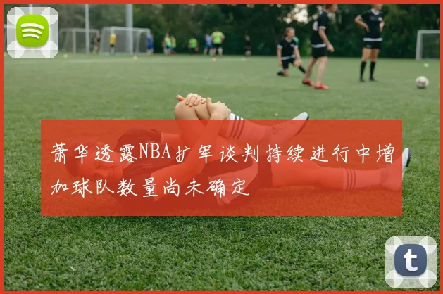 萧华透露NBA扩军谈判持续进行中增加球队数量尚未确定